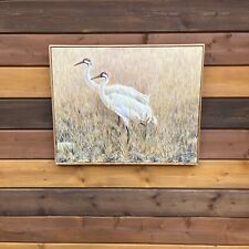 Whooping cranes oil for sale  UK