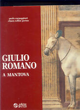 Giulio romano mantova usato  Bologna