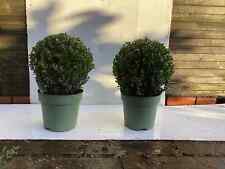 artificial topiary trees for sale  MACCLESFIELD