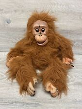 Axtell expressions orangutan d'occasion  Expédié en Belgium