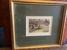 Pheasant picture green for sale  GATESHEAD