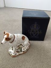 Royal Crown Derby Parson Jack Russell Terrier Paperweight for sale  HOVE