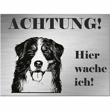 Berner sennenhund schild gebraucht kaufen  Deutschland