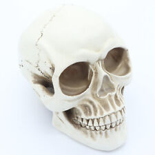 Skeleton replica realistic for sale  CHINNOR