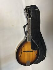 Washburn m1s mandolin for sale  USA
