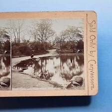 Allegheny stereoview c1880 for sale  TELFORD