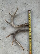 Deer rattling antlers for sale  El Campo
