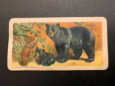 BROOKE BOND RED ROSE TEA CARDS - SERIES 2 - ANIMALS OF NORTH AMERICA for sale  Canada