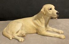 Labrador lying yellow for sale  CARLISLE
