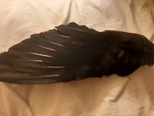 Vintage feathers black for sale  EXETER