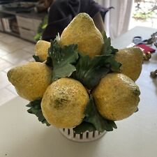 Coupe citrons porcelaine d'occasion  Brignoles