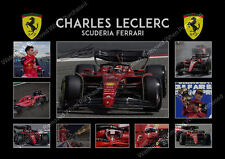 New charles leclerc for sale  UK