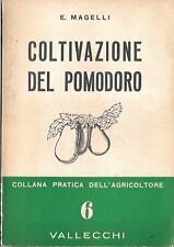 Coltivazione pomodoro magelli usato  Italia