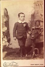 Victorian Western Boy Photo Portrait 1898 In Collared Suit Flowers Clivia Plant for sale  Shipping to South Africa