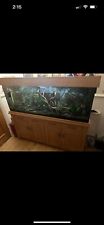 Tropical aquarium fish for sale  HULL