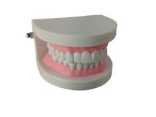 Dental orthodontics tooth for sale  Clinton