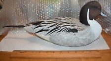 Amazing cabella pintail for sale  Amery
