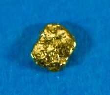 Alaskan yukon gold for sale  Oroville