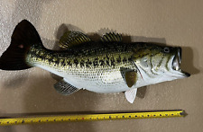 fish wall mount for sale  Grants Pass