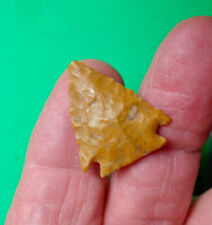 Colorado arrowheads dandy for sale  Greeley