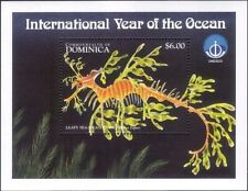 Dominica 1998 oceano usato  Italia