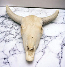 Vintage ceramic bull for sale  Madison