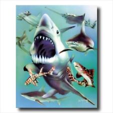 Ocean shark collage for sale  Springdale