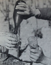 Vendanges bourgogne 1930 d'occasion  Venarey-les-Laumes