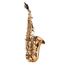 Sassofono soprano sax usato  Spedire a Italy