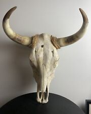 Vintage steer skull for sale  Hanover Park
