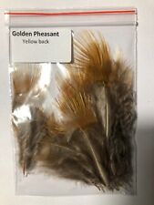 Golden pheasant yellow for sale  BATTLE