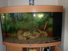 Juwel aquarium vision for sale  LONDON