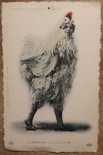 C1905 anthropomorphic chicken d'occasion  Expédié en Belgium