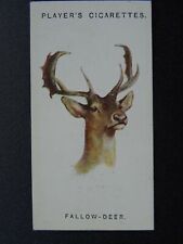 .16 fallow deer for sale  UK