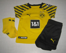 bvb kit gebraucht kaufen  Würselen