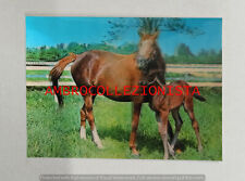 Cartolina lenticolare collezio usato  Cuneo