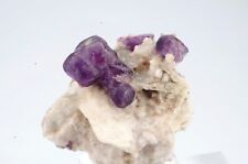 Fluorite mercedes chili d'occasion  Lille-