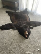 Bearskin rug head for sale  Anza