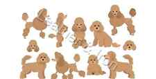 Nova capa de talão de cheques de vinil marrom para cachorros Mini Poodle comprar usado  Enviando para Brazil