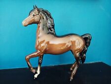 arabian horse for sale  TUNBRIDGE WELLS