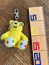 Pudsey keyring for sale  CANTERBURY