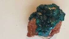 Dioptase mineral specimen for sale  Mashpee