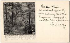 Cartão postal LYNN, MA - Path to the Wolf Pits, Lynn Water Supply, Massachusetts UDB comprar usado  Enviando para Brazil