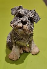 Painted schnauzer puppy for sale  LONDON