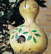 Gourds giant birdhouse for sale  Beaverdam
