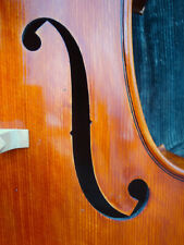 Meister cello 6700 gebraucht kaufen  Deutschland
