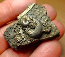 iron pyrite for sale  BRISTOL