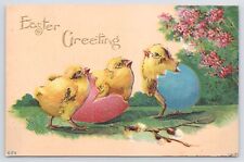 Easter greetings chicks for sale  Newton
