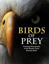 Birds prey stunning for sale  UK