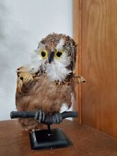 Old realistic owl for sale  Colorado Springs